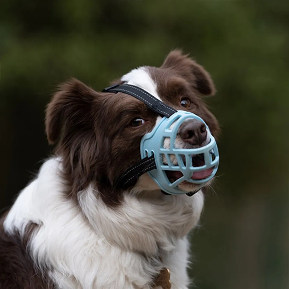 Basket Style koiran kuono