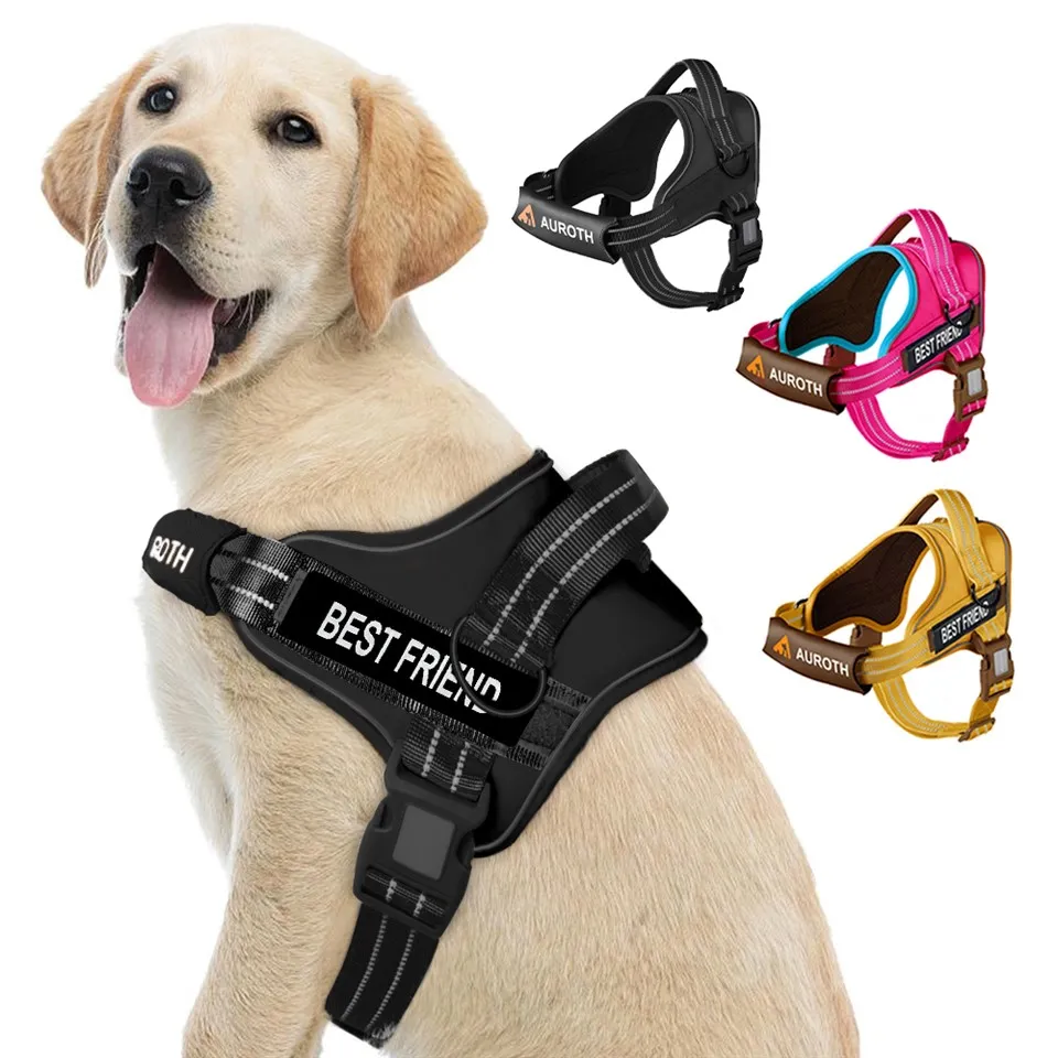 Henkilökohtaiset No Pull Dog -valjaat