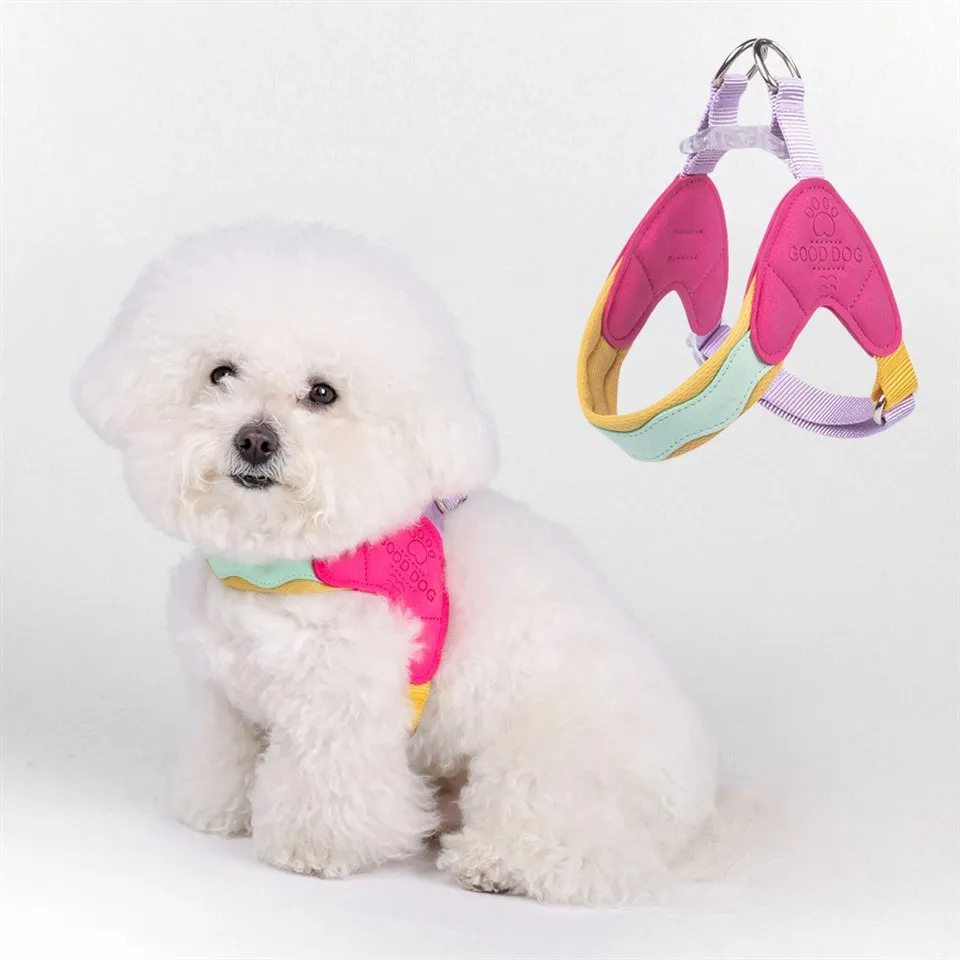 Pentuvaljaat pienille koirille